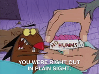 nickrewind nicksplat angry beavers GIF