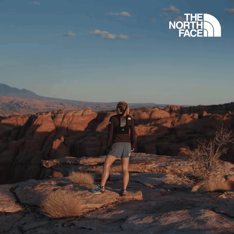 Have You Ever - The North Face
