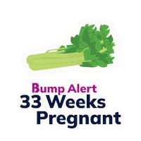 Pregnancy Baby Alert Sticker by The Bump