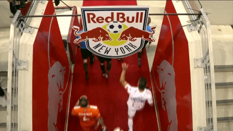 Red Bulls GIF by New York Red Bulls