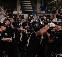Big 12 Ucf Baseball GIF by UCF Knights