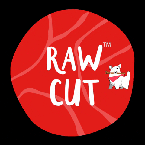 rawcut cats dogs fresh natural GIF