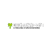Broncofest Sticker by SantaClaraUniversity