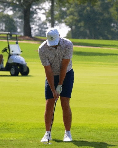 Georgia Tech Golf GIF by Georgia Tech Yellow Jackets