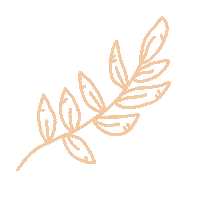 nature minimal natural leaf minimalist Sticker