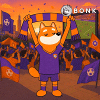 Crypto Fifa GIF by BONK