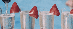 Party Bar GIF by Topshelf Records