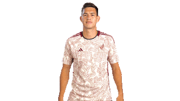 World Cup Mexico Sticker by MiSelecciónMX