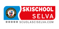 scuolasciselva ski sci skischule skischool Sticker