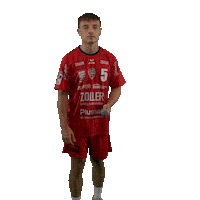 Handball Sticker by DAIKIN HBL