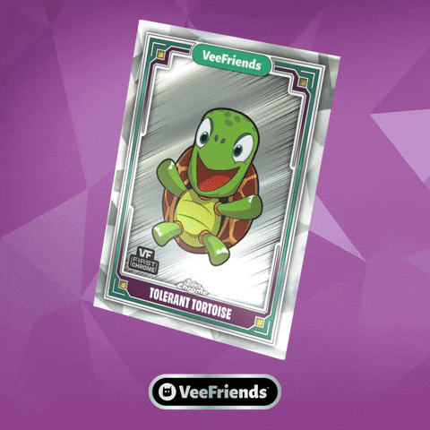 Box Collect GIF by VeeFriends