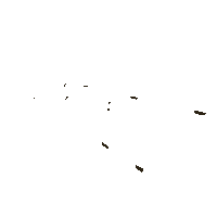 Dnb Disrupt Sticker by Rusher Misfit