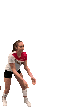 Sticker by Volleyball Academy