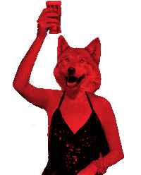 Beer Cheers Sticker by Cerveza Loba