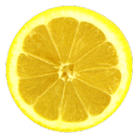 Summer Spinning Sticker by Carmen Tiffany