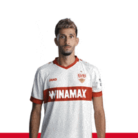 Geh Weg Omg GIF by VfB Stuttgart