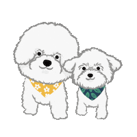 Bichon Kiss Sticker
