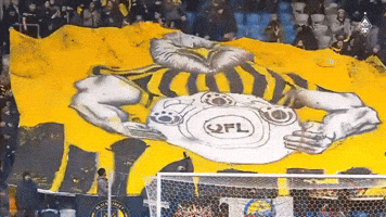 Eagle GIF by FC Kairat