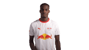 Red Bull Silence Sticker by RB Leipzig