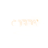 Cobrabuckle GIF by AUSTRIALPIN