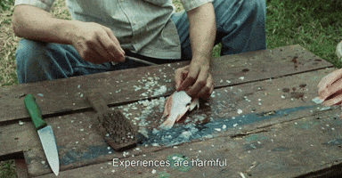 Experiences Are Harmful