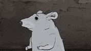 season 1 cats GIF by Animals