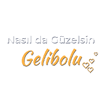 Turkey Gelibolu Sticker by mertsayilgan