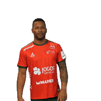 Letsgovamos Sticker by Federação de Andebol de Portugal