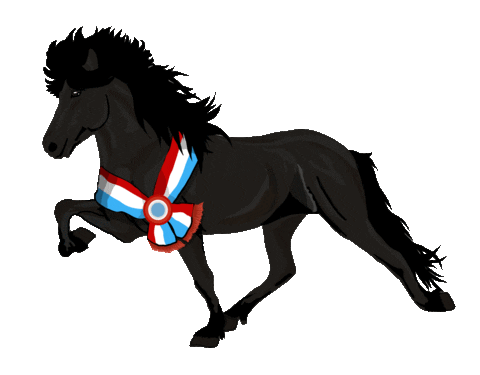 Horse Competition Sticker by Easyflix TV