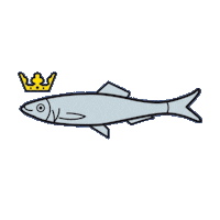 Scheveningen Sticker by KVS korfbal