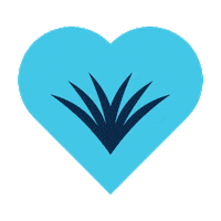 Heart Palmetto Sticker by Eric&Todd