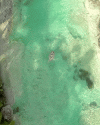 Mexico Floating GIF by CGTraveler - Carlos Garrido - Adventrgram