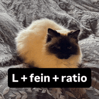 Ratio GIF