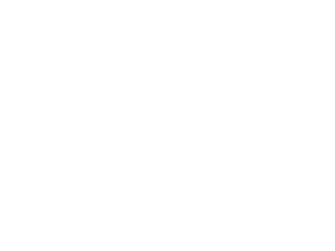 Emerica Skate Shoe Sticker by Emerica Canada