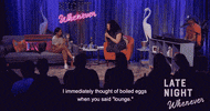 aparna nancherla eggs GIF by WNYC Studios
