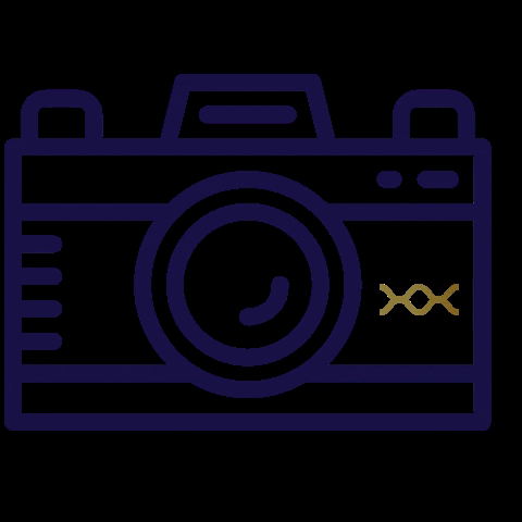 giphy.gif