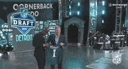 National Football League GIF by NFL