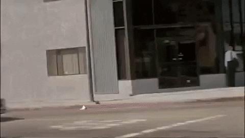 smarrs27 giphygifmaker point break GIF