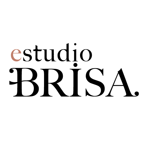 estudiobrisa giphyupload branding diseno estudio Sticker