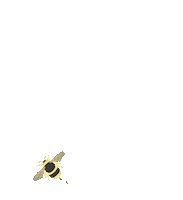 Vegan Cheese Sticker by RIND
