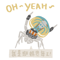 Spider Wildlife Sticker