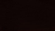 Sunrise E3 GIF by Xbox