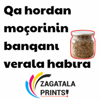 Qa Tala GIF by Zagatala Prints