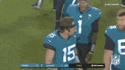 Regular Season Football GIF by NFL