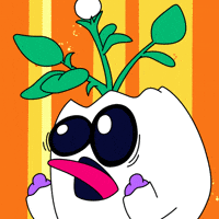 Oh No Omg GIF by Magic Eden