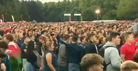 fans going GIF