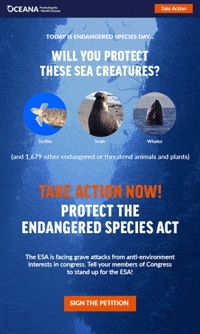 GIF by Oceana