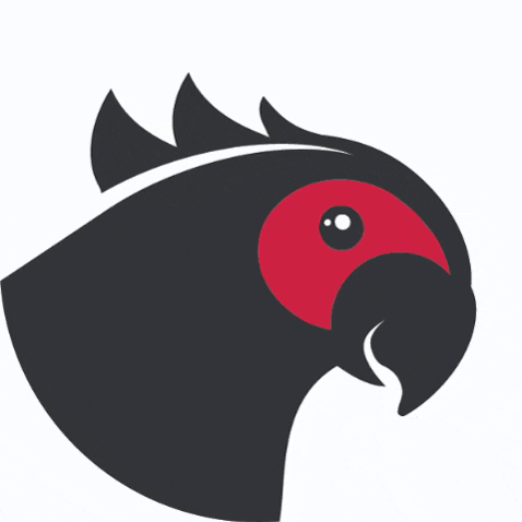 MisfitBranding giphygifmaker misfitbranding GIF