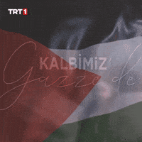 Flag Help GIF by TRT