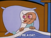ren and stimpy nicksplat GIF